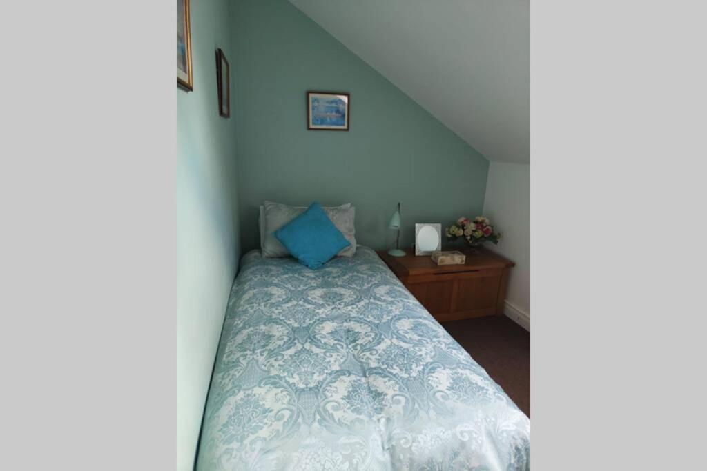 בלפסט Bt 9 Granny Flat & Walled Garden מראה חיצוני תמונה