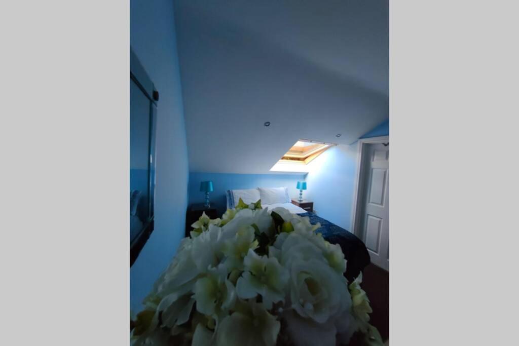 בלפסט Bt 9 Granny Flat & Walled Garden מראה חיצוני תמונה