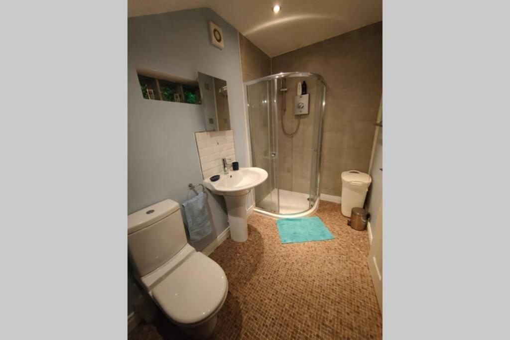 בלפסט Bt 9 Granny Flat & Walled Garden מראה חיצוני תמונה